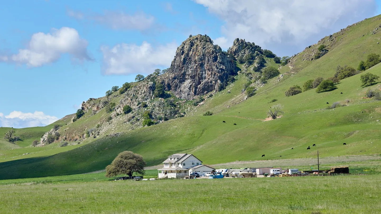 Cattle ranch at the base of the Sutter Buttes in Sutter County.